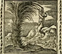 Picture 39 of 215 from Emblemi di Andrea Alciato, huomo chiarissimo, dal latino nel vulgare italiano ridotti (1626), leaf 64