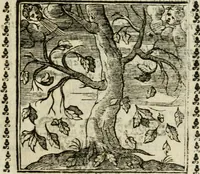 Picture 46 of 215 from Emblemi di Andrea Alciato, huomo chiarissimo, dal latino nel vulgare italiano ridotti (1626), leaf 72