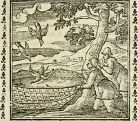 An illustration from Emblemi di Andrea Alciato, huomo chiarissimo, dal latino nel vulgare italiano ridotti (1626)