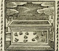 Picture 53 of 215 from Emblemi di Andrea Alciato, huomo chiarissimo, dal latino nel vulgare italiano ridotti (1626), leaf 85