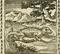 Picture 55 of 215 from Emblemi di Andrea Alciato, huomo chiarissimo, dal latino nel vulgare italiano ridotti (1626), leaf 88