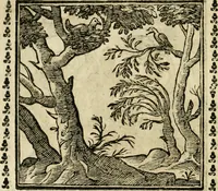 Picture 63 of 215 from Emblemi di Andrea Alciato, huomo chiarissimo, dal latino nel vulgare italiano ridotti (1626), leaf 97