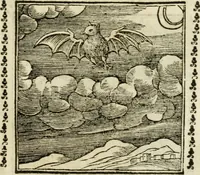 Picture 64 of 215 from Emblemi di Andrea Alciato, huomo chiarissimo, dal latino nel vulgare italiano ridotti (1626), leaf 98