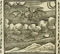 Picture 65 of 215 from Emblemi di Andrea Alciato, huomo chiarissimo, dal latino nel vulgare italiano ridotti (1626), leaf 99
