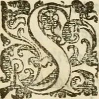 An illustration from Emblemi politici (1632)