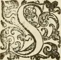 An illustration from Emblemi politici (1632)