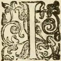 An illustration from Emblemi politici (1632)