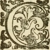 An illustration from Emblemi politici (1632)