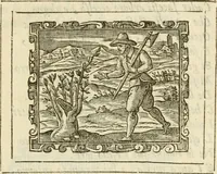 Picture 35 of 44 from Emblemi politici (1632), leaf 80