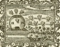 Picture 39 of 44 from Emblemi politici (1632), leaf 88