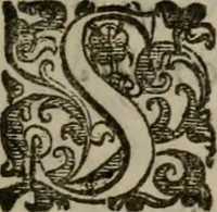 An illustration from Emblemi politici del Signor caualier Guido Casoni (1632)