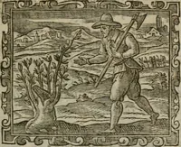 An illustration from Emblemi politici del Signor caualier Guido Casoni (1632)