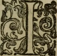 An illustration from Emblemi politici del Signor caualier Guido Casoni (1632)