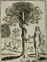 An illustration from Emblems, divine and moral, together with hieroglyphicks of the life of man (1736)