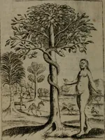 An illustration from Emblems (1696)