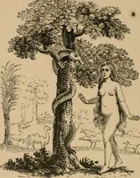 An illustration from Emblems, divine and moral : The school of the heart; and Hieroglyphics of the life of man (1866)