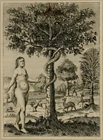 An illustration from Emblems divine and moral (1839)