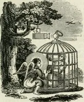 Picture 73 of 79 from Emblems, divine and moral (1818), leaf 296