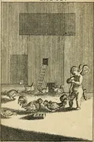 An illustration from Emblems of love, in four languages : dedicated to the ladys (1683)