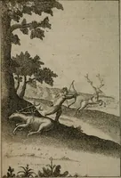 An illustration from Emblems of love in four languages : dedicated to the ladys (1747)