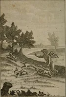An illustration from Emblems of love in four languages : dedicated to the ladys (1747)