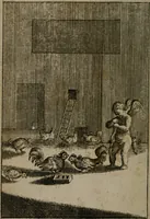 An illustration from Emblems of love in four languages : dedicated to the ladys (1747)