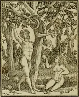 Picture 4 of 51 from Emblems of mortality : representing, in upwards of fifty cuts, Death seizing all ranks and degrees of people : imitated from a painting in the cemetery of the Dominican church at Basil, in Switzerland : with an apostrophe to each, translated from the Latin and French : intended as well for the infomation of the curious, as the instruction and entertainment of youth : to which is prefixed a copious preface, containing an historical account of the above, and other paintings on this subject, now or lately existing in divers parts of Europe (1789), leaf 41
