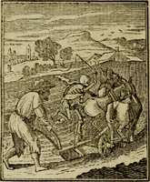 Picture 38 of 51 from Emblems of mortality : representing, in upwards of fifty cuts, Death seizing all ranks and degrees of people : imitated from a painting in the cemetery of the Dominican church at Basil, in Switzerland : with an apostrophe to each, translated from the Latin and French : intended as well for the infomation of the curious, as the instruction and entertainment of youth : to which is prefixed a copious preface, containing an historical account of the above, and other paintings on this subject, now or lately existing in divers parts of Europe (1789), leaf 77