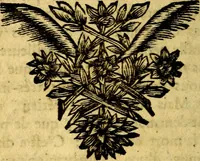 Picture 102 of 102 from Emblémes; ou, Devises chrétiennes (1697), leaf 261