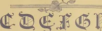 An illustration from The embroiderer's book of design : containing initials, emblems, cyphers, monograms, ornamental borders, ecclesiastical devices, mediæval and modern alphabets, and national emblems (1891)