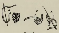 An illustration from An embroidery book (1920)