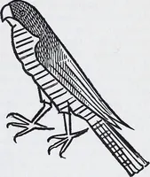 An illustration from Embroidery : a collection of articles on subjects connected with the study of fine needlework, including stitches, materials, methods of work, and designing, and history ... (1909)