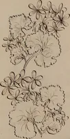 An illustration from [Embroidery designs (1850)