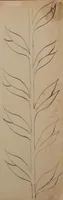 An illustration from [Embroidery designs (1850)