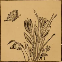 An illustration from Embroidery and fancy work, containing directions for embroidering, painting, modelling, carving, etc (1899)