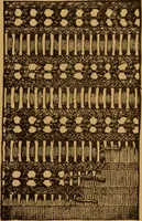 An illustration from Embroidery and fancy work, containing directions for embroidering, painting, modelling, carving, etc (1899)