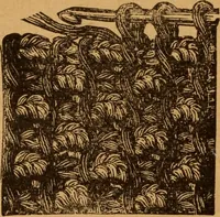 An illustration from Embroidery and fancy work, containing directions for embroidering, painting, modelling, carving, etc (1899)