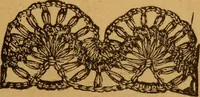 An illustration from Embroidery and fancy work, containing directions for embroidering, painting, modelling, carving, etc (1899)