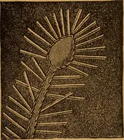 An illustration from Embroidery and fancy work, containing directions for embroidering, painting, modelling, carving, etc (1899)