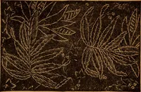 An illustration from Embroidery and fancy work, containing directions for embroidering, painting, modelling, carving, etc (1899)