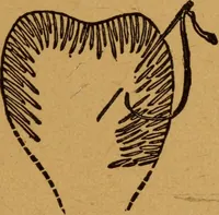An illustration from Embroidery and fancy work, containing directions for embroidering, painting, modelling, carving, etc (1899)