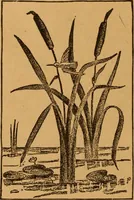 An illustration from Embroidery and fancy work, containing directions for embroidering, painting, modelling, carving, etc (1899)