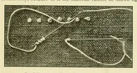 An illustration from The embroidery guide (1910)
