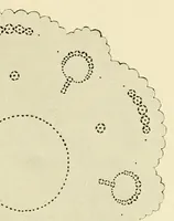 An illustration from The embroidery guide (1910)