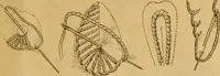 An illustration from Embroidery hints: Fall and Winter 1910 (1910)