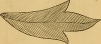 An illustration from Embroidery hints: Fall and Winter 1910 (1910)