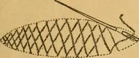 An illustration from Embroidery hints: Fall and Winter 1910 (1910)