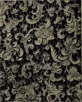 An illustration from Embroidery and lace: their manufacture and history from the remotest antiquity to the present day. A handbook for amateurs, collectors and general readers (1888)