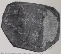 Picture 1 of 16 from Embroidery and lace: their manufacture and history from the remotest antiquity to the present day. A handbook for amateurs, collectors, and general readers (1888), leaf 24