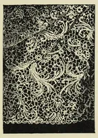 An illustration from Embroidery and lace : their manufacture and history (1899)